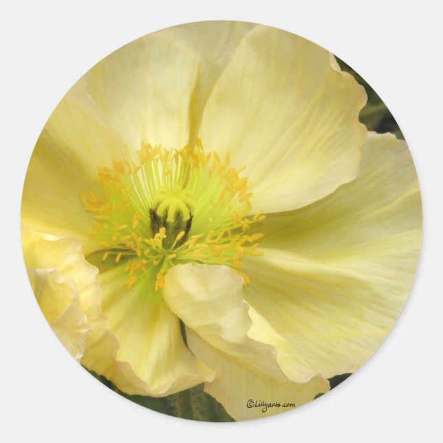 Yellow Wedding Flowers Invitation Seals (Front)