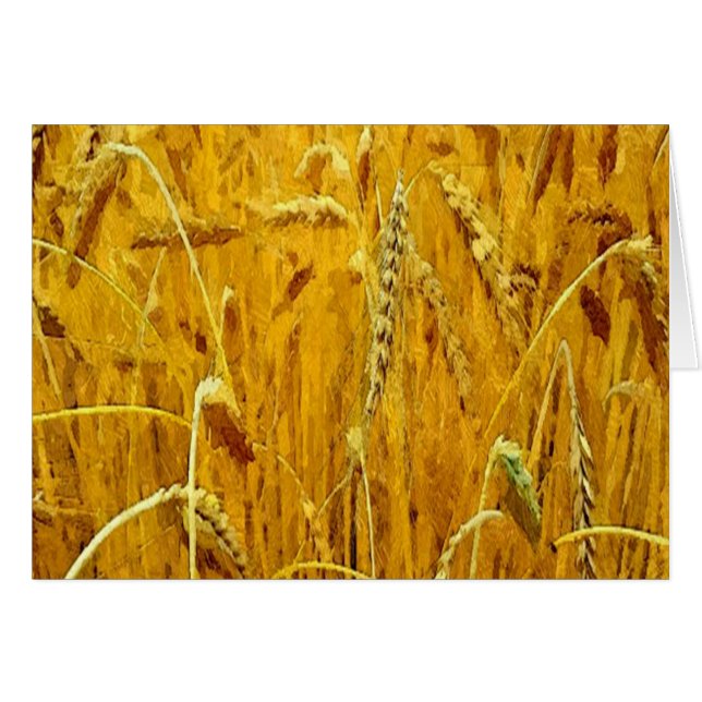 Yellow Wheat Field (Front Horizontal)