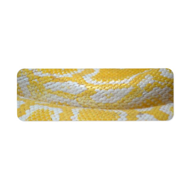 YELLOW WHITE BOA SNAKE SKIN TEXTURES REPTILES PATT (Front)