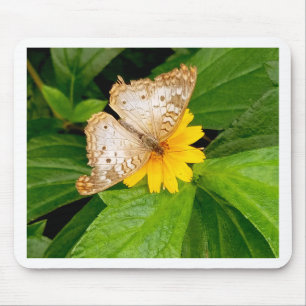 yellow white butterfly moth mouse mat