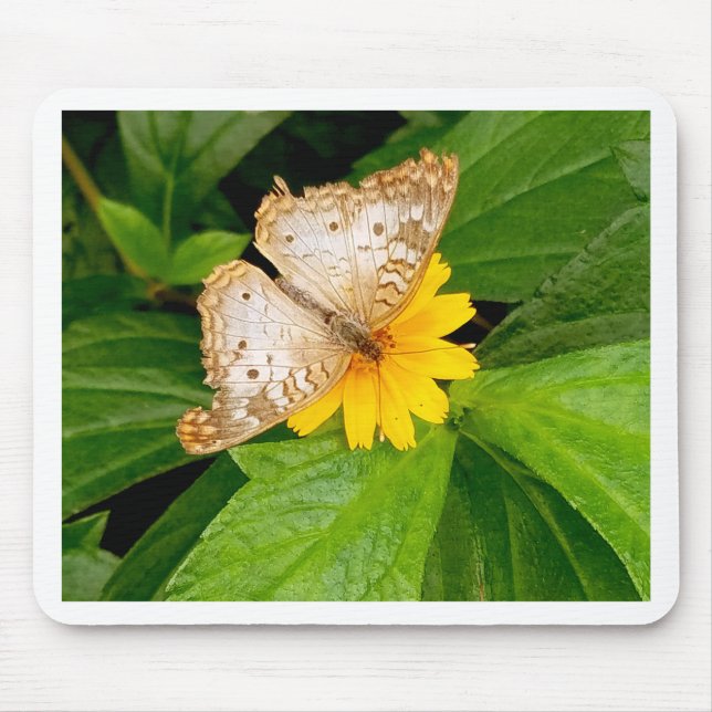 yellow white butterfly moth mouse mat (Front)