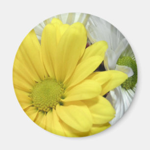 Yellow White Daisy Daisies Flower Flowers Photo Magnet