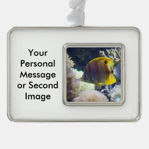 yellow & white Saltwater Copperband Butterflyfish Silver Plated Framed Ornament