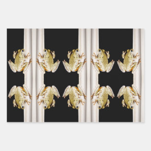 Yellow White Tree Frog on Windowsill Wrapping Paper Sheet