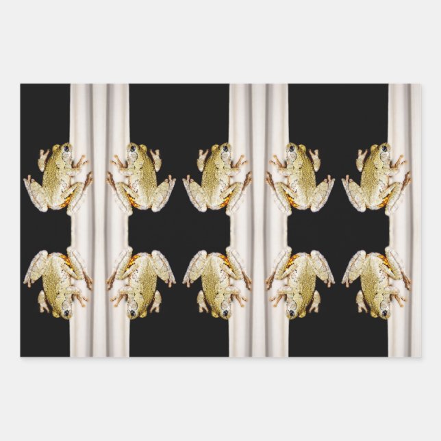 Yellow White Tree Frog on Windowsill Wrapping Paper Sheet (Front)