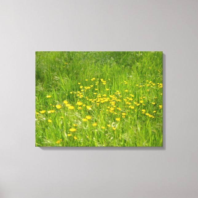 Yellow Wild Flower Floral Botanical Photography Canvas Print (Front)