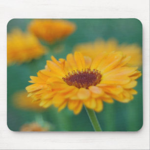 Yellow Wild Flower Mouse Mat