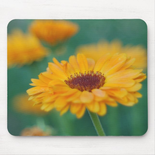 Yellow Wild Flower Mouse Mat (Front)