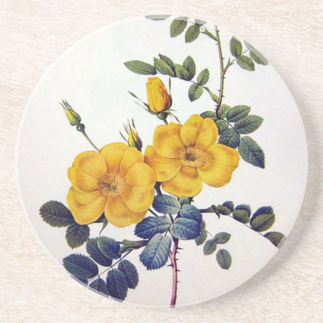 Yellow Wild Roses, Pierre Joseph Redouté Coaster (Front)