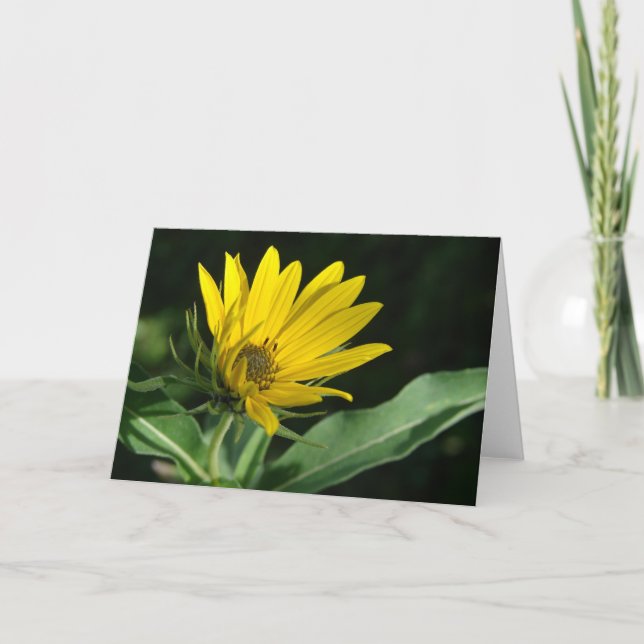 Yellow Wildflower All Occasions  Card (Front)