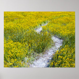 Yellow Wildflower Field Landscape Poster