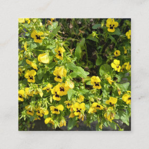 Yellow Wildflower Garden Nature Photography Square Business Card