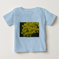 Yellow Wildflowers