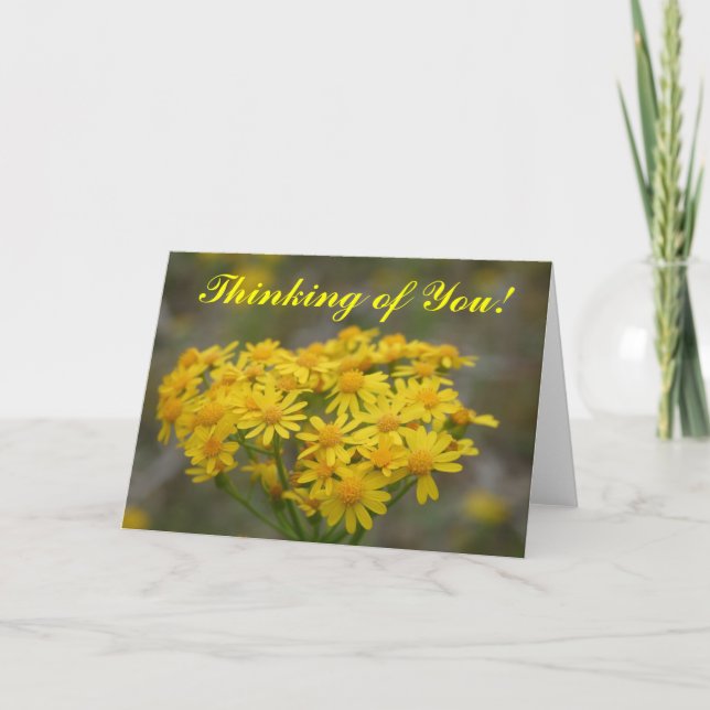 Yellow Wildflowers Card (Front)