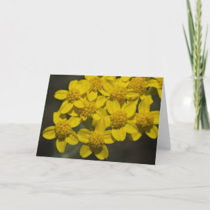 Yellow Wildflowers Card