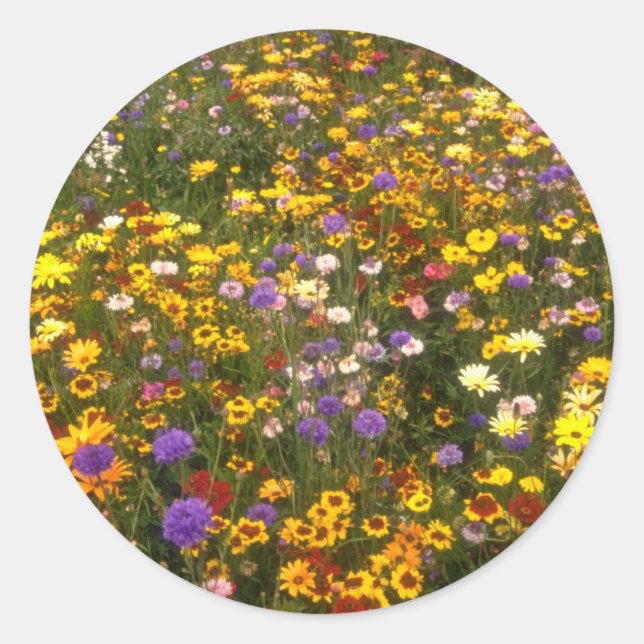 Yellow Wildflowers flowers Classic Round Sticker (Front)