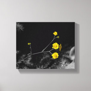 Yellow Wildflowers Under a Tree Coloured 8x10 Canvas Print