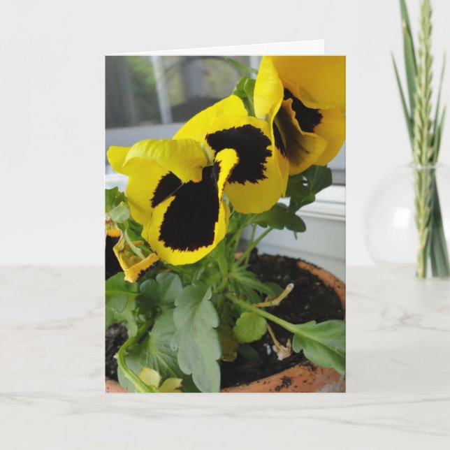 Yellow With Black Pansies Card (Front)