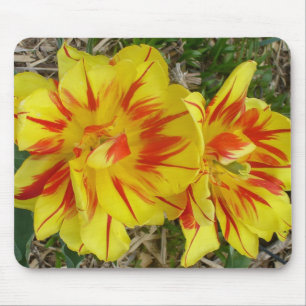Yellow with Red Striped Flower Mouse Mat