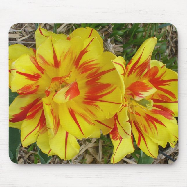 Yellow with Red Striped Flower Mouse Mat (Front)