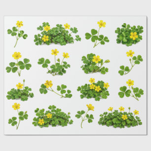 Yellow Wood Sorrel Clover Field Wildflowers Botani Wrapping Paper