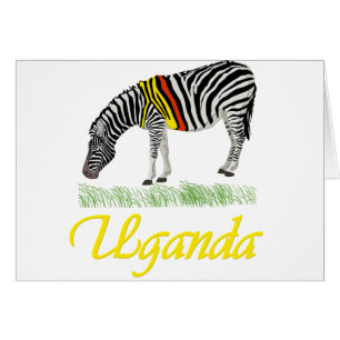 Yellow Zebra Series