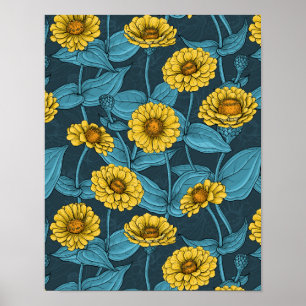 Yellow Zinnias on dark blue Poster