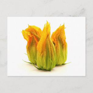 Yellow zucchini flower postcard