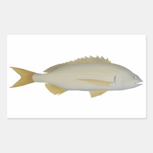 Yellowfin Bream Rectangular Sticker