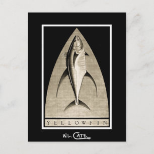 Yellowfin Vintage Black & White Postcards