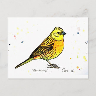 Yellowhammer bird postcard