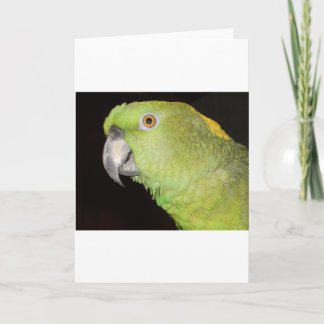 Yellownape Amazon Card