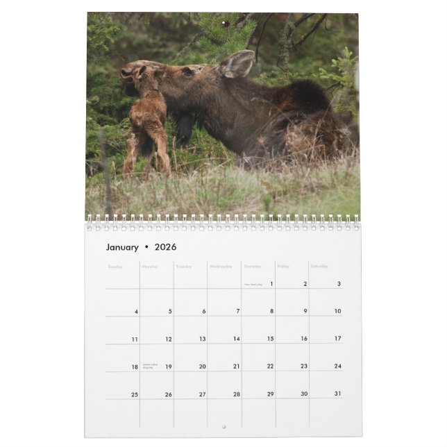 Yellowstone 2010 Calendar (Jan 2026)