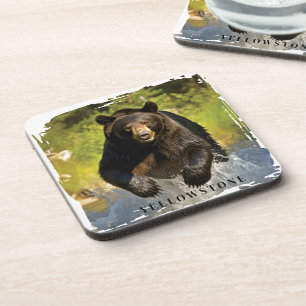 Yellowstone Bear  Coaster