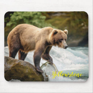 Yellowstone Bear Mouse Pad