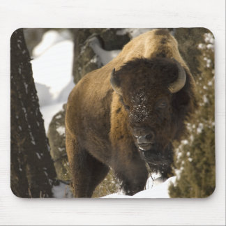 Yellowstone Bison Bull in Winter - Customised Mouse Mat