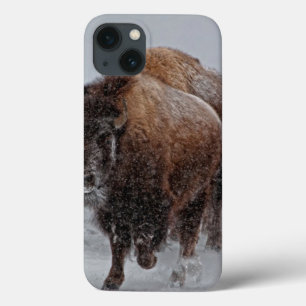 Yellowstone Bison iPhone 13 Case