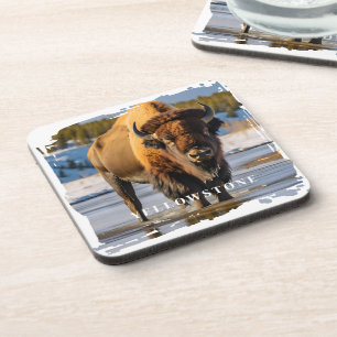 Yellowstone Bison Coaster
