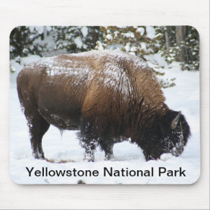 Yellowstone Bison in Winter Mousepad