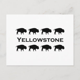Yellowstone Bison Logo Postcard