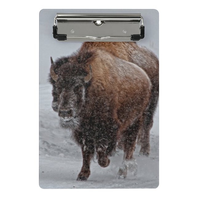 Yellowstone Bison Mini Clipboard (Front)
