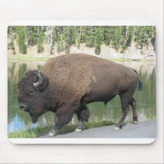 Yellowstone Bison Mouse Mat