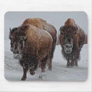 Yellowstone Bison Mouse Mat