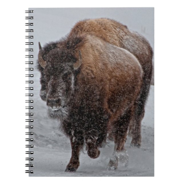 Yellowstone Bison Notebook (Front)