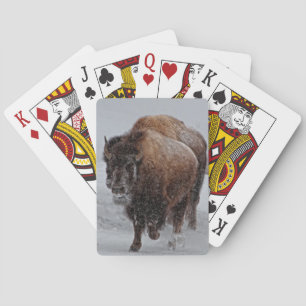 Yellowstone Bison Playing Cards