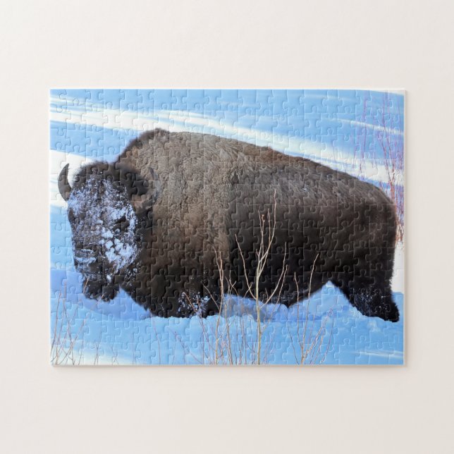Yellowstone Bison Standing in Deep Snow Jigsaw Puzzle (Horizontal)