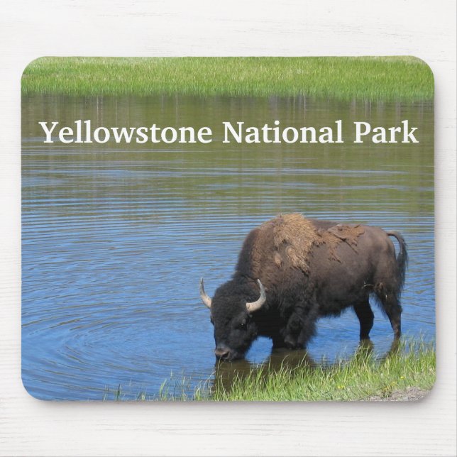 Yellowstone Buffalo in Pond Mouse Mat (Front)
