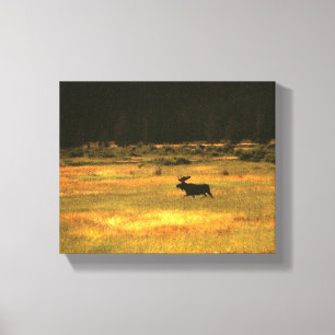 Yellowstone Bull Moose Wall Art