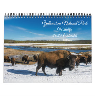 Yellowstone Calendar-Wildlife Calendar