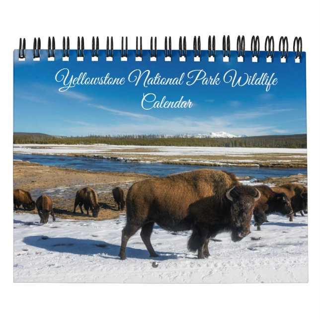 Yellowstone Calendar-Wildlife Calendar (Cover)